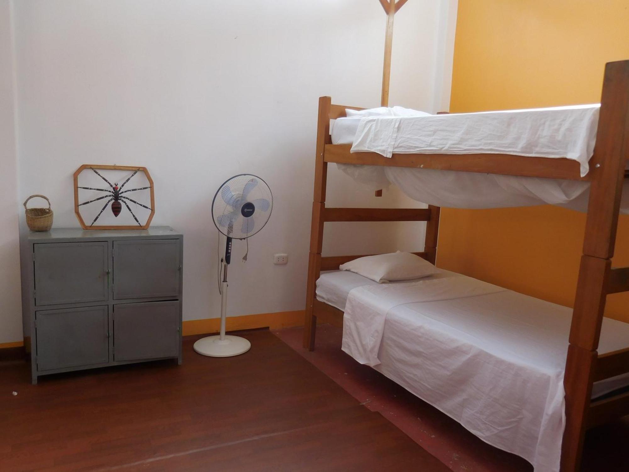 Tambopata Hostel Puerto Maldonado Bagian luar foto