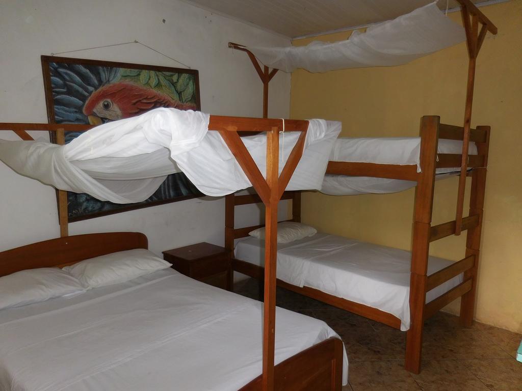 Tambopata Hostel Puerto Maldonado Bagian luar foto