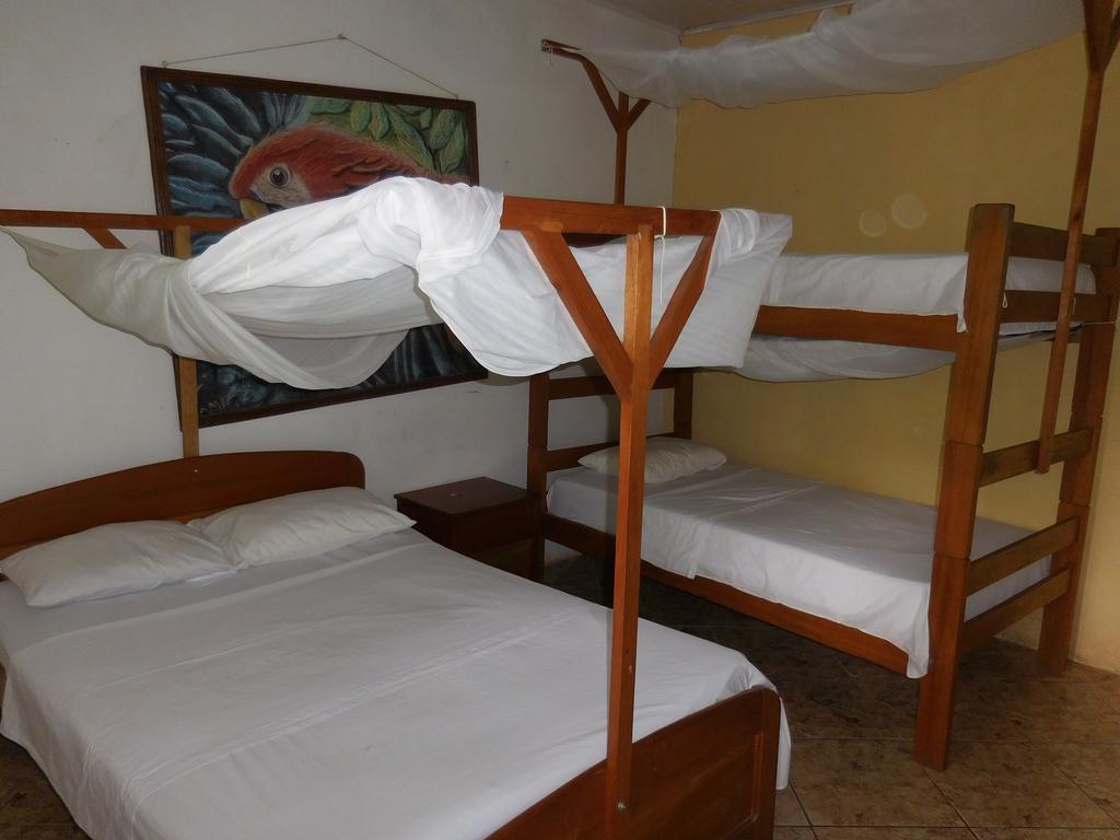 Tambopata Hostel Puerto Maldonado Bagian luar foto